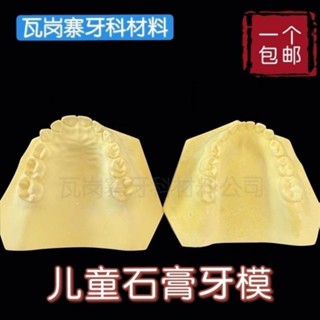 小百合模口腔石膏牙模 24顆乳牙超硬有牙石膏模型 頜面清晰兒童款包郵模型展示模型