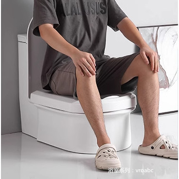 現代 蹲坐兩用一體式 馬桶 廁所 可蹲 可坐 雙用 臺式 蹲便器 改坐 座便神器