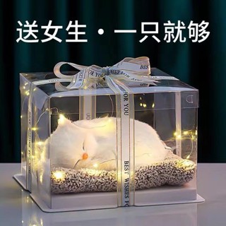【臺灣出貨】創意禮物//兒童玩偶/會叫貓咪/模擬玩具/可愛/動物模型/寵物/生日禮物/女七夕情人節