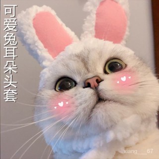 🔥臺灣/出貨🔥抖音網紅寵物貓咪兔子耳朵頭套保暖帽子可愛搞怪拍照頭飾 XHIK