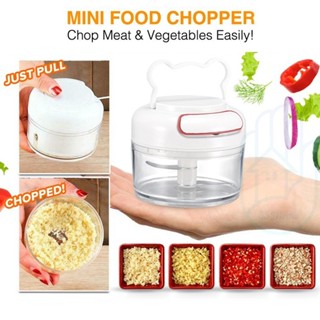 Xstore2 Food Slicer Chopper / Vegetable Meat Ginger Grinder