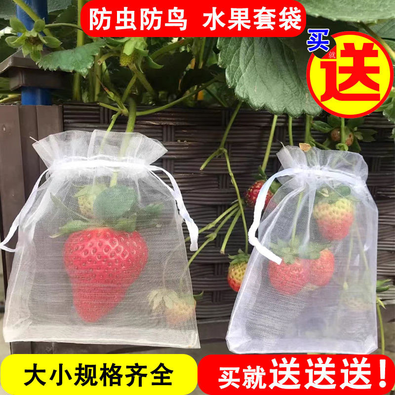 水果套袋草莓紗網袋葡萄保護袋防蟲防鳥紗網套袋細網束口袋抽繩袋SKLW