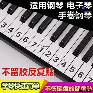 熱銷🥇鋼琴鍵盤貼紙88鍵61電子琴手卷琴鍵五線譜簡譜按鍵音符音標數字貼