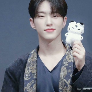 【臺灣發貨】seventeen Hoshi權順榮ins衕款 奶糖虎 娃娃鑰匙扣小掛件卡通公仔