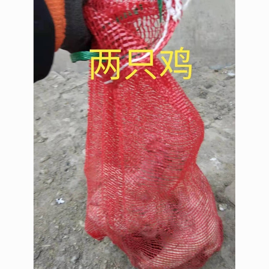 🔥臺灣熱銷🔥裝活禽鴨鵝網袋子蔬菜洋蔥土豆大蒜玉米扁絲編織網袋子 FP2A