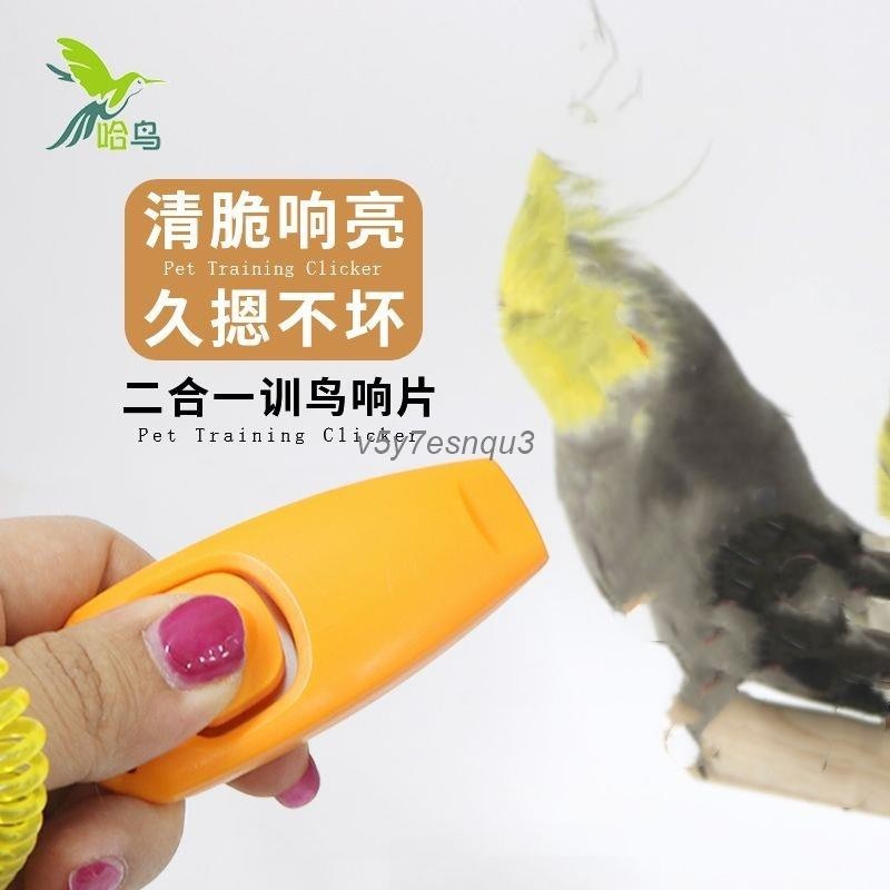 好物#哈鳥鸚鵡訓練響片+口哨 鸚鵡玩具 訓練用品 益智玩具 鸚鵡鳥玩具