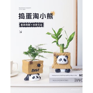 創意 搗蛋 小熊 卡通 多肉 動物 花盆 擺件 微景觀 個性化 植物 盆栽 裝飾品 飾品 桌麵擺件 小擺件 傢居裝飾品