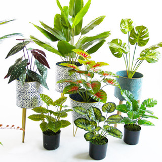 ▼JVW北歐中盆仿真植物盆栽龜背芭蕉樹假綠植盆景室內桌面裝飾裝飾擺件