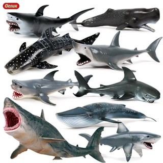✨甄選新品✨兒童實心模擬海洋生物模型玩具 大白鯊鯊魚過家家玩具 巨齒鯊鯨鯊虎鯊藍鯨玩具模型擺件 蒙特梭利教h6🎇x6