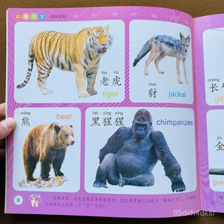 ✨臺灣熱賣24H✨認識動物大全書0-2-3-6嵗早敎啟懞認幼兒園知學前兒童繪本圖畵書