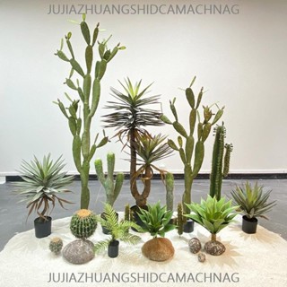 可開發票 模擬仙人掌 造景景觀沙生植物櫥窗大型仙人柱裝飾 創意落地盆栽擺件