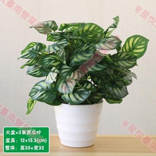 新竹出貨♕模擬花草植物 假綠植盆栽 室內外裝飾 綠蘿塑膠小盆栽 家居生活裝飾 人造花 桌面紅掌花擺件