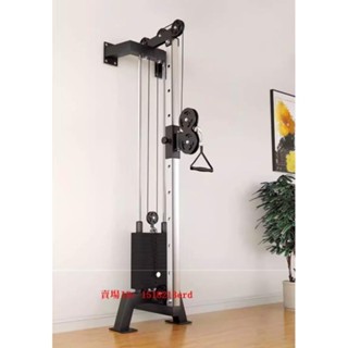 低價 新品 單邊飛鳥 墻體龍門架 小飛鳥訓練器 家用健身器械多功能高位下拉器材