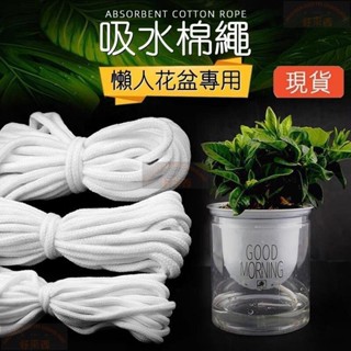 【好東西】🔥臺灣貨🔥懶人花盆吸水棉線 吸水棉繩 花卉 水培 自吸水繩 花盆 裝飾 多肉植物 微景觀 盆栽 手作 園藝