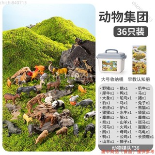 ✨臺灣廠商下殺✨早教玩具益智模擬動物模型套裝寶寶認知軟膠恐龍益智男孩兒童大象lldd818