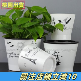 臺灣熱銷⚡❀懶人花盆自動吸水❀ 自動吸水懶人花盆歐式風情 綠蘿 盆栽雙層加厚 水培 塑膠 儲水盆送棉繩
