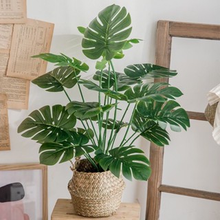 ★臺灣發貨北歐客廳仿真植物龜背綠植擺件假花ins風模擬綠植裝飾小盆栽桌面擺設創意