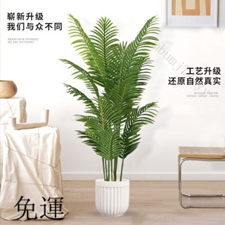 工廠現貨 免運 含發票 模擬綠植物 散尾葵盆栽 旅人蕉客廳造景擺件 客廳裝飾假花 擺件擺飾 模擬盆栽
