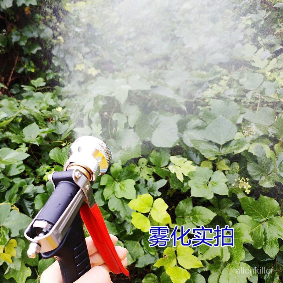 澳林進口霧化打藥機噴槍臺灣農用電動噴霧器高壓柱塞泵果樹噴霧槍