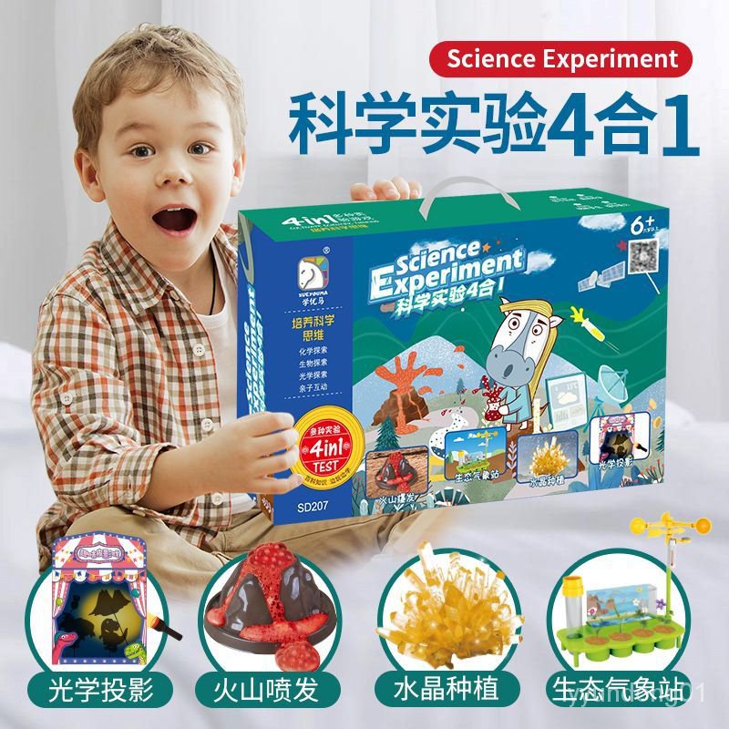 『免運+發票』 科學實驗王 有機化學 火山爆髮 化學 玩具 實驗 小學生玩具 手工材料 科學實驗套裝 兒童趣味 生物化學