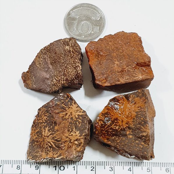 菊花石 隨機出貨1入 原礦 原石 石頭 岩石 地質 教學 標本 收藏 禮物 小礦標 礦石標本6 252
