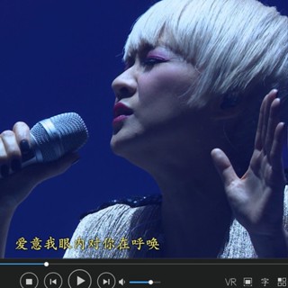 臺灣熱賣促銷-促銷粵語天后陳慧嫻藍光演唱會現場超清MV影片高品質音樂集32G車載隨身碟27