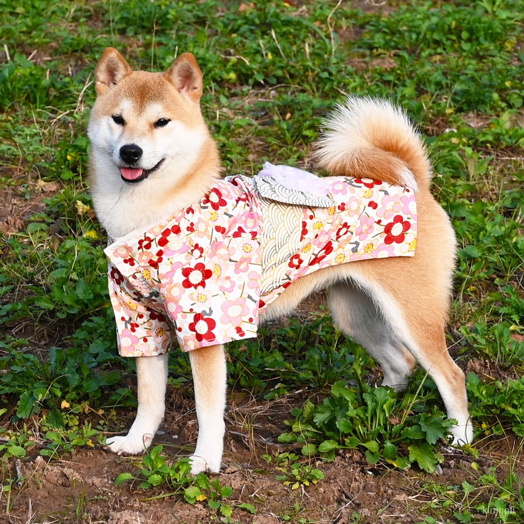 寵物和服 寵物衣服 寵物新年衣 狗狗衣服小型犬 全棉咪衣服 錦鯉和風 柯基衣服拍照和服浴衣