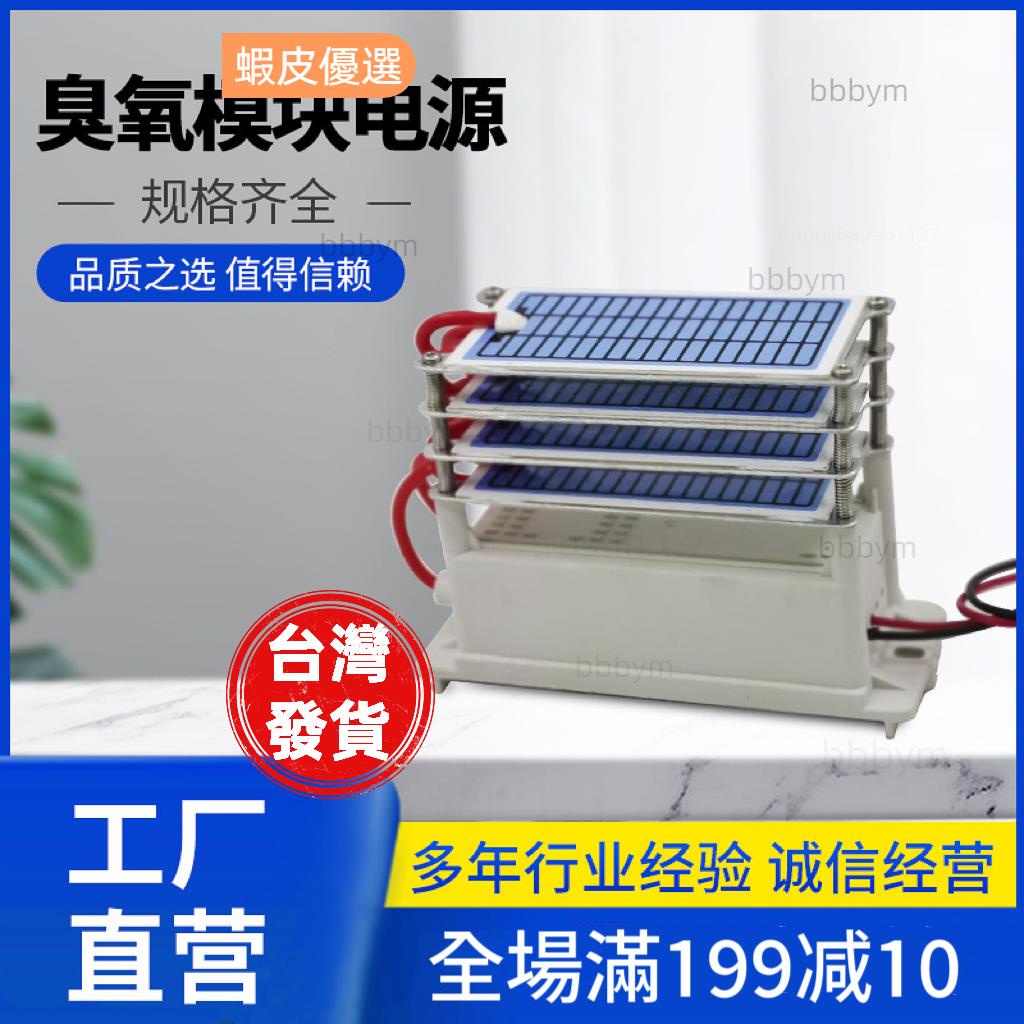 現貨 110V | 20g/h~40g/h臭氧發生器配件家用新房裝修去除甲醛殺菌除味臭氧消毒機一件式式臭氧發生器配件 臭