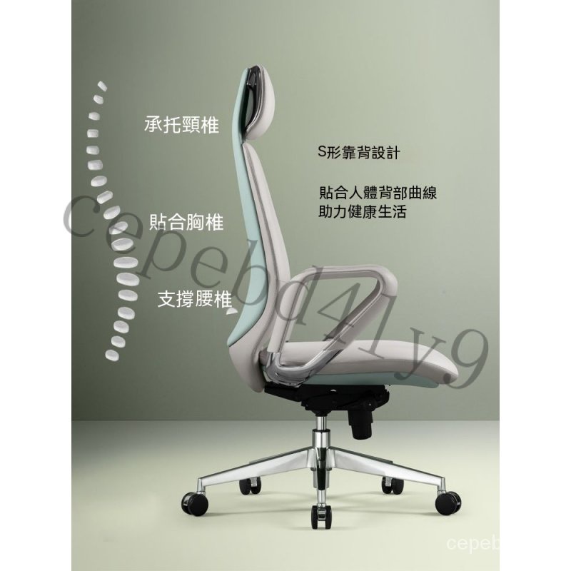 【附發票】人體工學椅 電腦椅 傢用輕奢 老闆椅子 久坐舒適 靠背座椅 真皮辦公椅