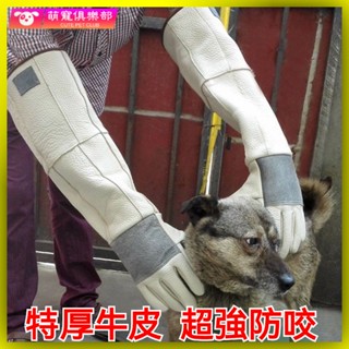 🐶🍂加厚防護 防咬手套 寵物防咬 訓狗訓犬 防割手套 電焊手套防抓咬傷防護手套 防貓抓防狗咬蛇訓狗鷹加厚加長牛皮手套