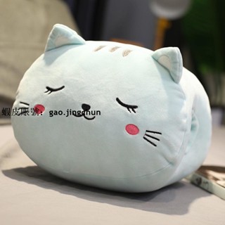 臺灣發貨●捂手抱枕●熱賣 可愛 卡通 暖手 抱枕 插手 辦公室午睡小枕頭學生宿舍 毛絨 手捂 冬天女生