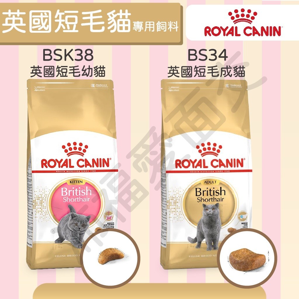 [沛福愛面交] 法國皇家 BSK38 BS34 英國短毛貓 英國短毛幼貓/成貓 成貓 貓飼料 2kg 4kg 10kg