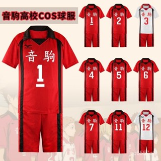 🔥臺灣公司出貨🔥 排球少年衣服 排球少年週邊 動漫排球少年音駒高中黑尾鐵朗孤爪研磨cosplay服排球短袖t恤球衣