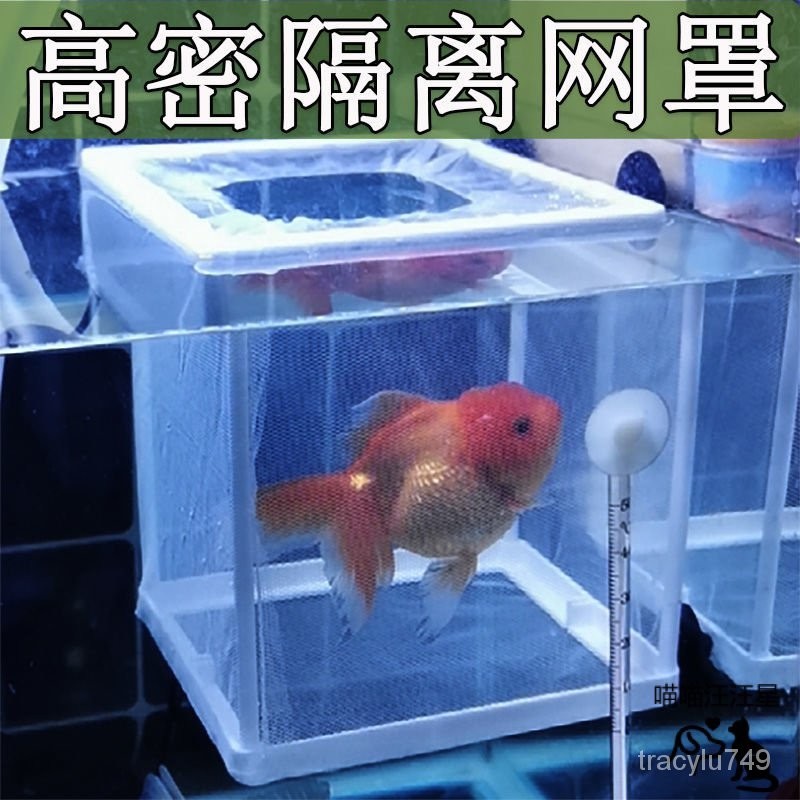 魚缸隔離盒隔離網水族箱孵化盒魚苗産箱孵化箱幼魚保護箱高密網箱2.27