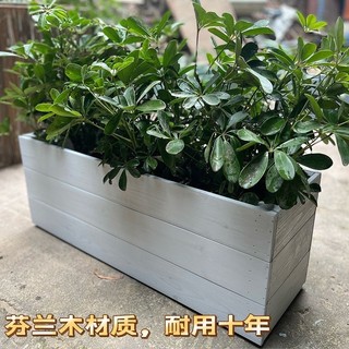 優品上新❤現貨戶外防腐木花箱長方形花槽室內陽臺種菜花盆室外芬蘭木種植箱壹傢俱文化生活館