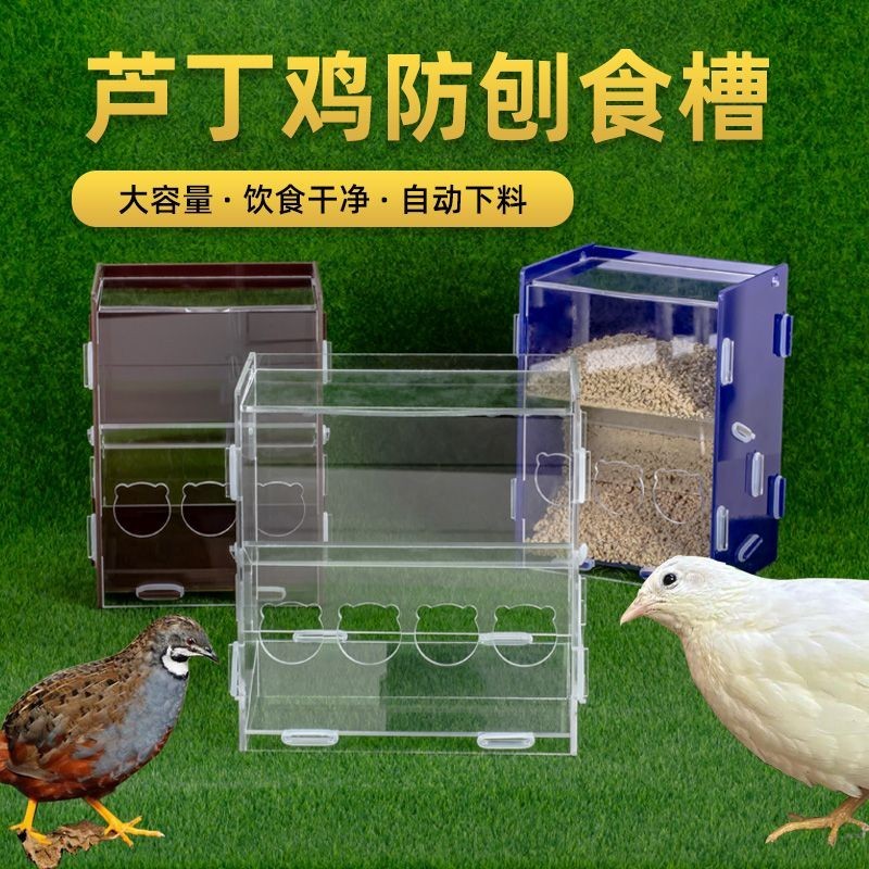 蘆丁雞專用喂食器 自動喂雞食槽 飼料盒 小雞大容量專用喂食器