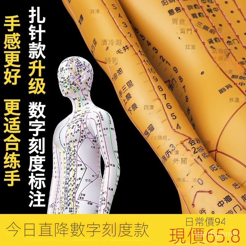 政河人體經絡穴位模型人十二經絡圖小皮人可紮針數字刻度 穴位模型 穴位圖 人體經絡模型 模型 穴位人體模型