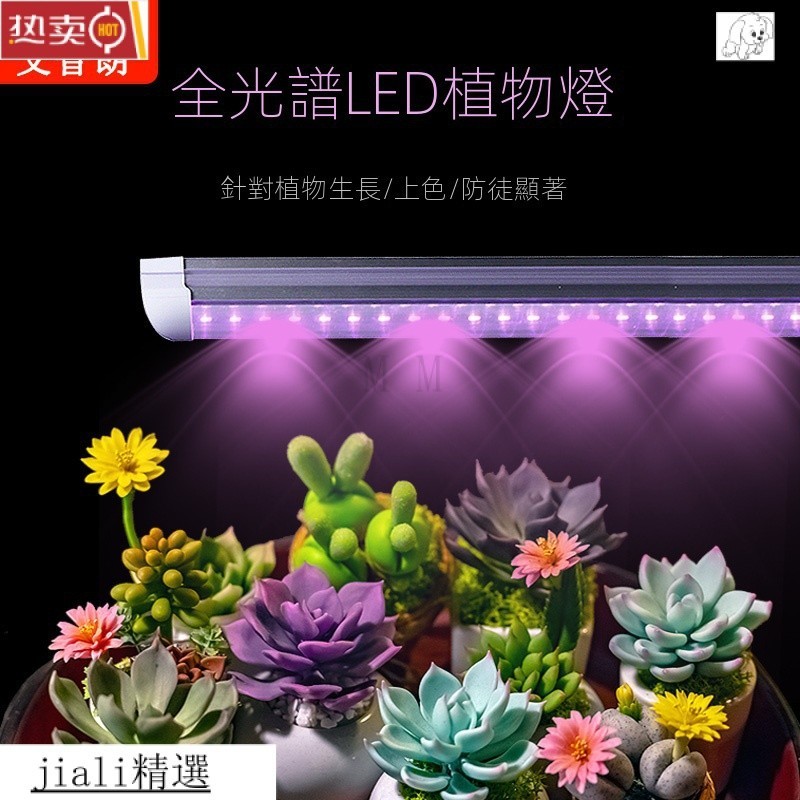 植物燈 多肉植物生長燈 LED全光譜傢用仿太陽補光燈 全光譜 夾燈 檯燈 燈管 燈條 補光燈 生長燈 補光燈 精選好物