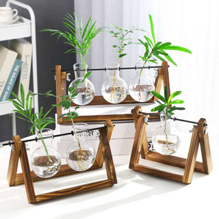 創意燒杯水培木架容器綠蘿植物玻璃花瓶辦公室桌面擺件插花瓶裝飾