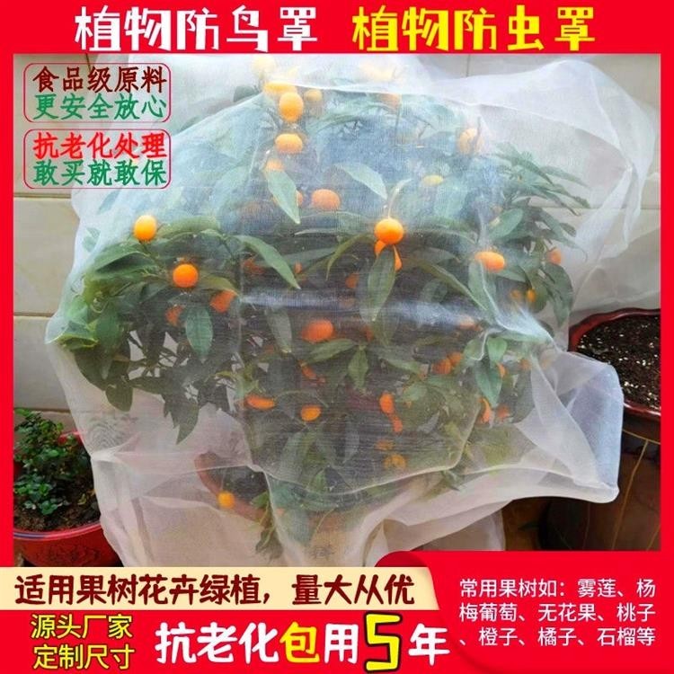 免運發貨 果樹防蟲防鳥網罩 櫻桃楊梅石榴網 蔬菜水果花卉防果蠅套袋 防蟲網紗好物上新