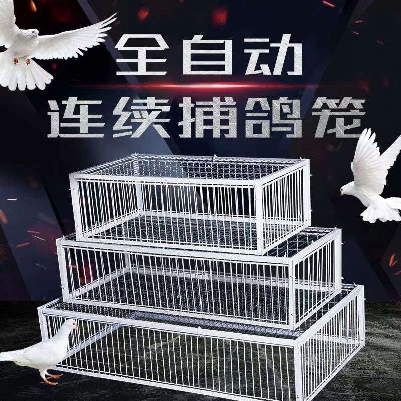 天落籠只進不出捕鴿神器鴿子鳥籠跳籠鐵籠撞門自動收鴿籠鴿子籠