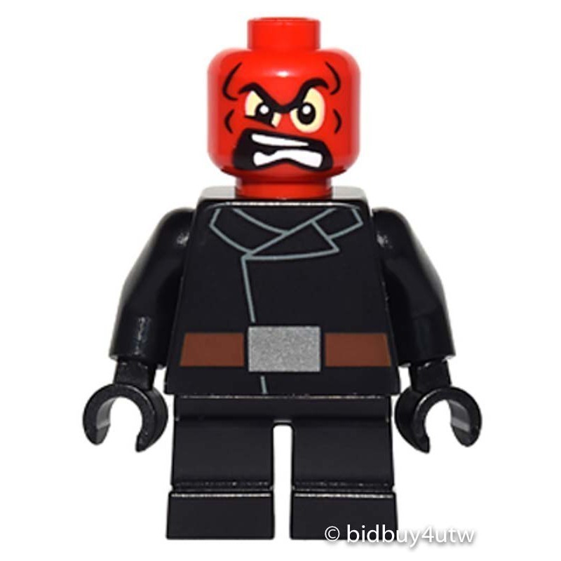 LEGO人偶 SH251 Red Skull-Short Legs 樂高超級英雄系列【必買站】 樂高人偶