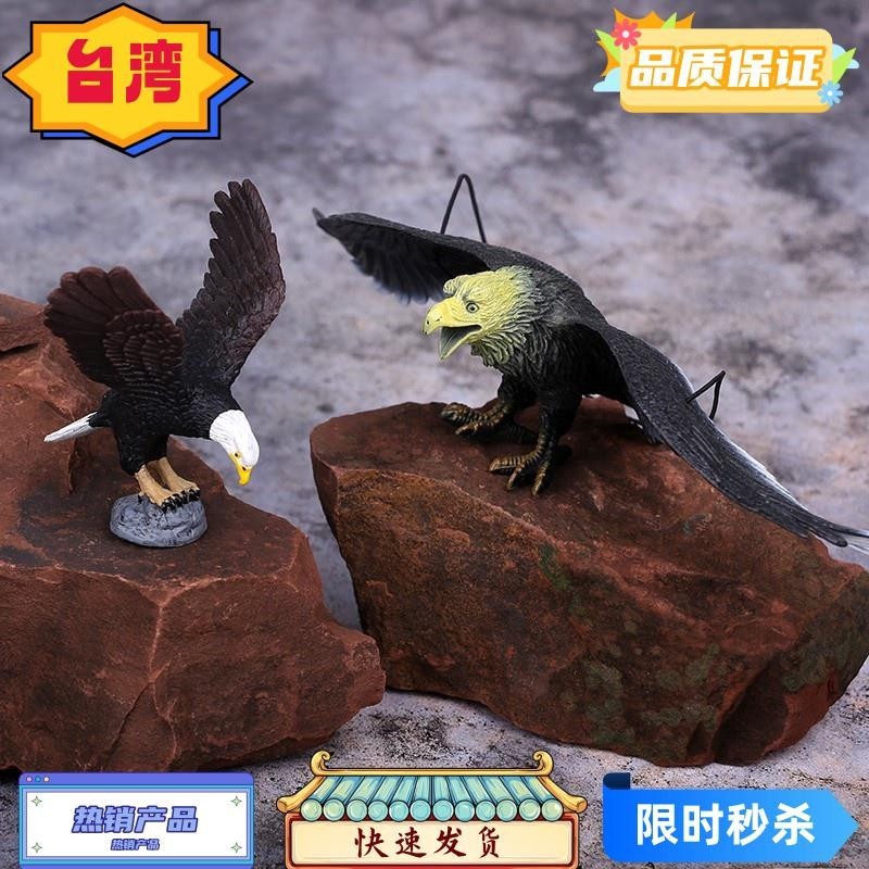 台灣熱賣 仿真老鷹模型軟塑膠飛鳥猛禽大雕動物玩具兒童早教認知裝飾道具