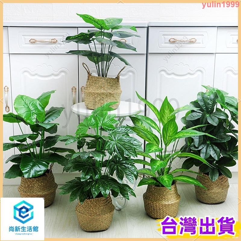 優選/免運✨ 仿真植物 龜背芋盆栽 懶人盆栽 龜背竹 植栽 仿真盆栽 盆栽裝飾 假花盆栽 永生花盆栽 室內客廳裝飾仿真綠