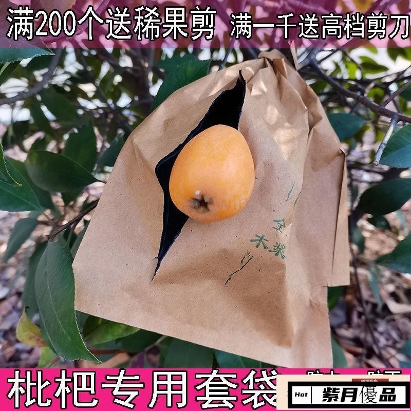 🚀台灣出貨🔥枇杷專用套袋枇杷袋子芒果套袋芒果袋子果袋水果套袋果袋子防蟲鳥