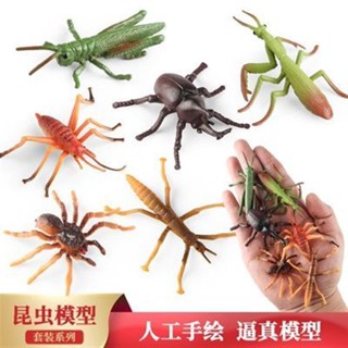 🎊新品下殺🎊模擬實心昆蟲動物模型套裝中號蝗蟲螳螂蜘蛛獨角仙竹節蟲蛐擺件
