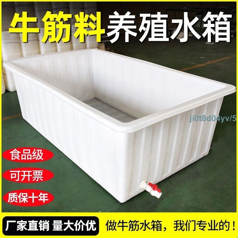 【訂金】大號加厚牛筋塑料箱長方形儲水桶水產養殖養魚牛筋箱養龜賣魚淺盆