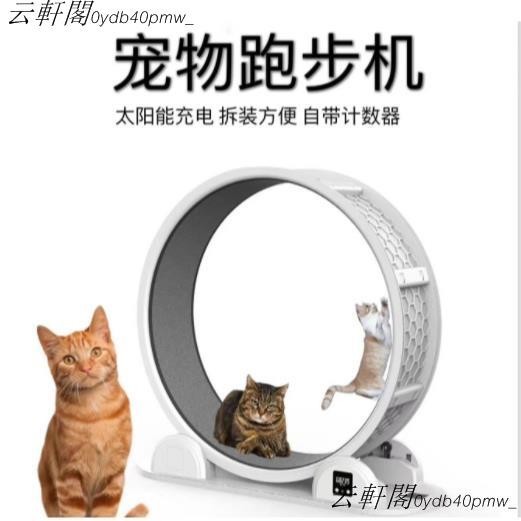 云軒閣~新款貓咪跑步機 運動貓爬架 貓抓板 太陽能充電可計米數 寵物跑步機