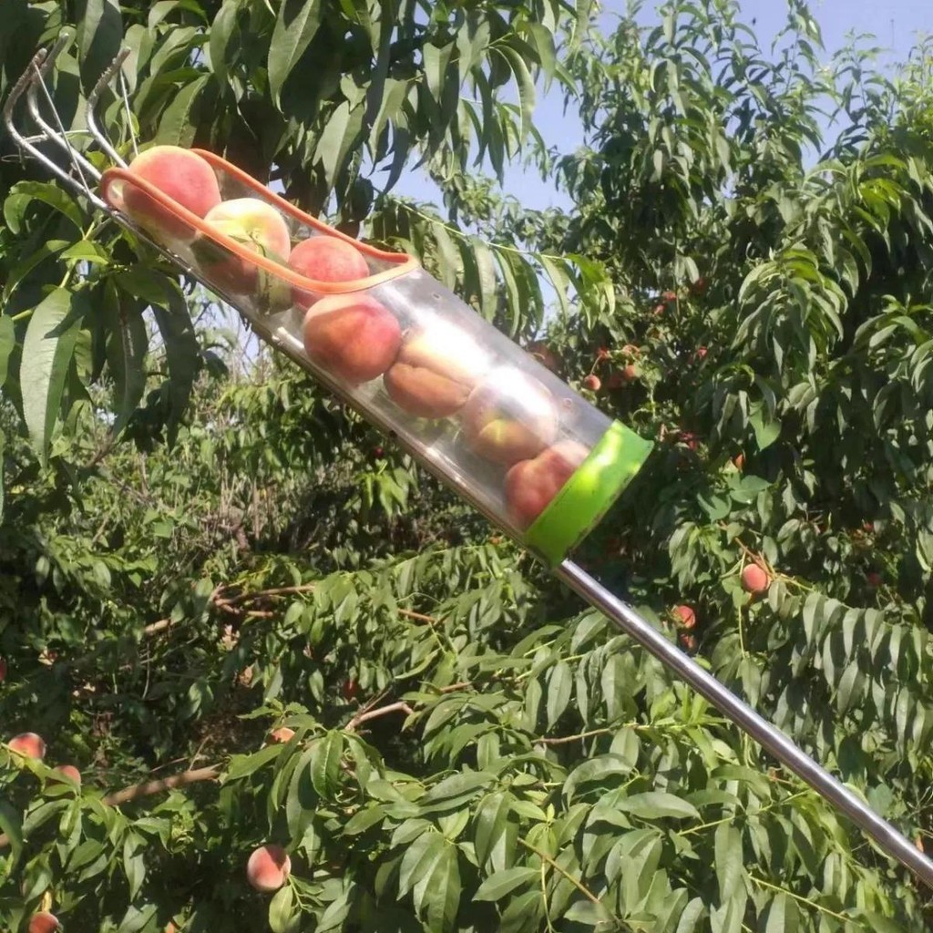 新型高空摘果神器采摘器柿子杏芒果蘋果梨楊梅方便耐用提高效率