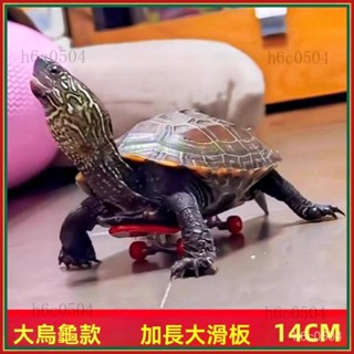 💕💕鸚鵡玩具 寵物玩具 陸龜玩具 烏龜玩具 水龜 陸龜烏龜滑板寵物玩具鸚鵡滑板模型玩具手指迷你減壓玩具搞笑高階diy